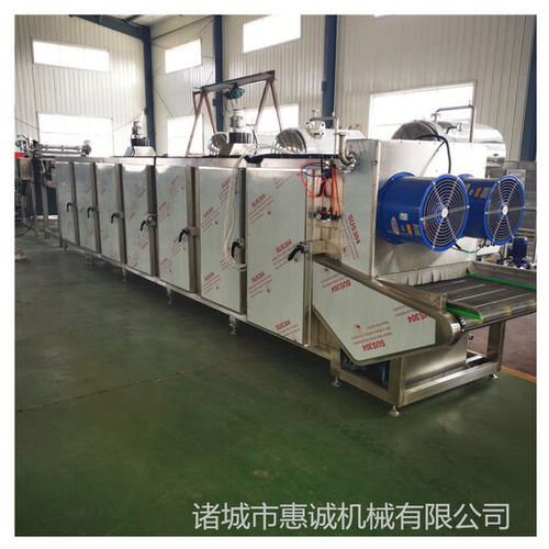 惠誠果脯烘干,江西萍鄉全新惠誠烘干流水線廠家