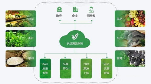 區塊鏈產品溯源系統研發,食品安全可追溯平臺解決方案