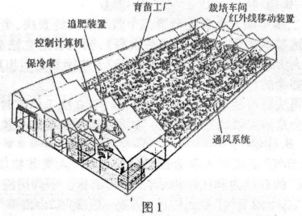 植物工廠是現代設施農業發展到高級階段的產物,是一種高投入 高技術 精裝備的工廠化農業系統 其設計和使... 無憂題庫